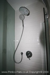 Rental Flat - Twin Shower Heads