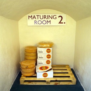 Maturing Rooms